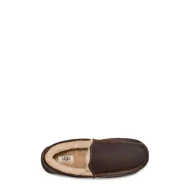 Image 5 of UGG Ascot Men's
