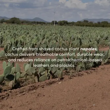 Image 8 of YY Nation Derecho Cactus Men's