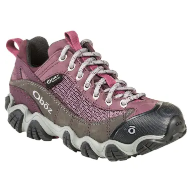 Image 2 of Oboz Firebrand II Low Waterproof Women's