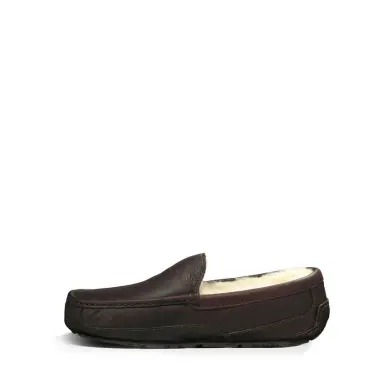 Image 3 of UGG Ascot Men's