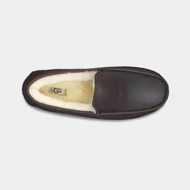 Image 4 of UGG Ascot Men's