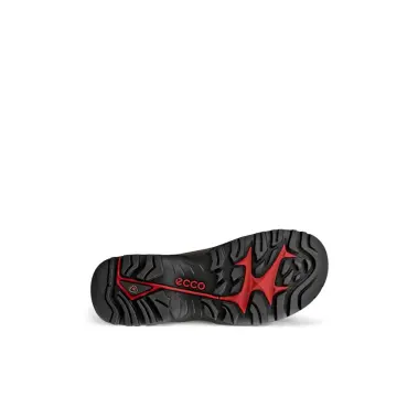 Image 6 of Ecco Offroad Waterproof Shoe Men's