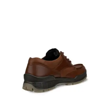 Image 8 of Ecco Track 25 Low GTX Men's