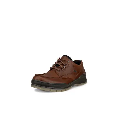 Image 2 of Ecco Track 25 Low GTX Men's