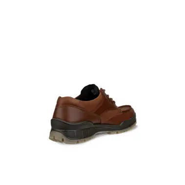 Image 5 of Ecco Track 25 Low GTX Men's