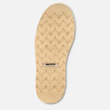 Image 5 of Irish Setter Ashby 6