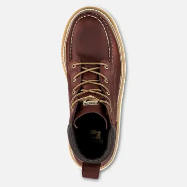 Image 4 of Irish Setter Ashby 6