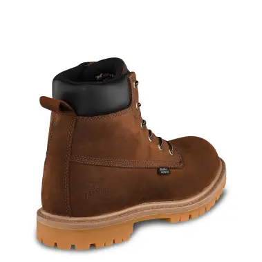 Image 3 of Irish Setter Hopkins 6