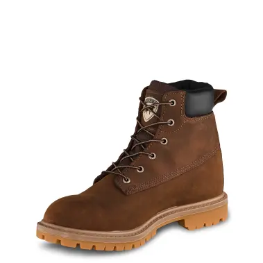 Image 4 of Irish Setter Hopkins 6