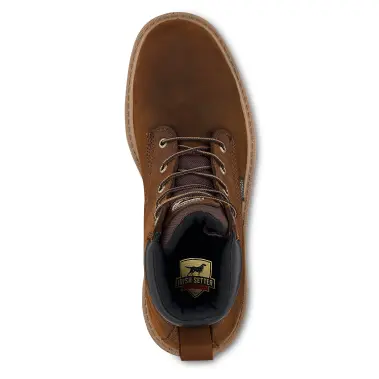 Image 5 of Irish Setter Hopkins 6