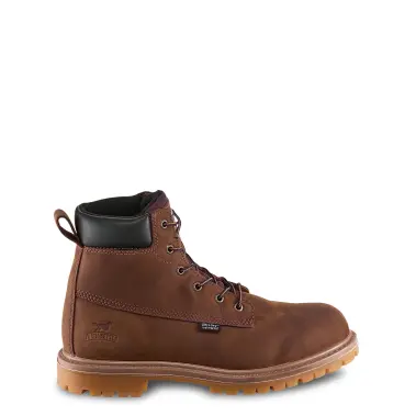 Image 7 of Irish Setter Hopkins 6