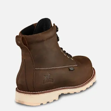 Image 2 of Irish Setter Wingshooter 6