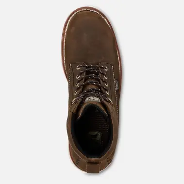 Image 4 of Irish Setter Wingshooter 6