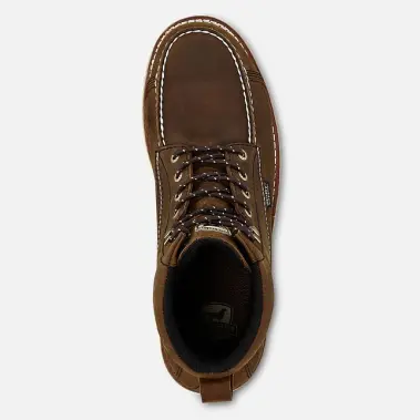 Image 4 of Irish Setter Wingshooter 6