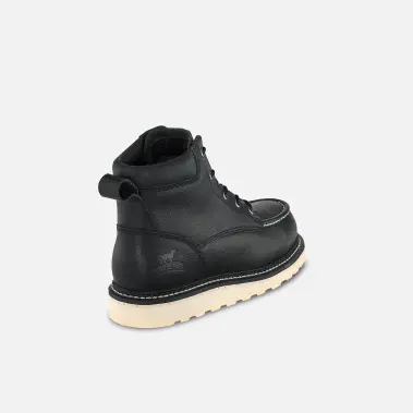 Image 2 of Irish Setter Ashby 6