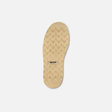 Image 5 of Irish Setter Ashby 6