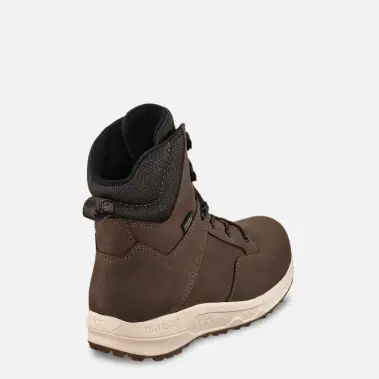 Image 2 of Irish Setter Clearwater 6