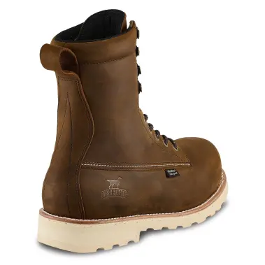 Image 3 of Irish Setter Wingshooter 8