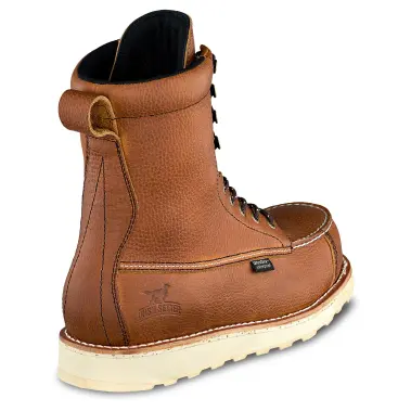 Image 3 of Irish Setter Wingshooter ST 8