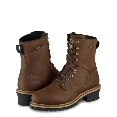 Image 10 of Irish Setter Mesabi 8