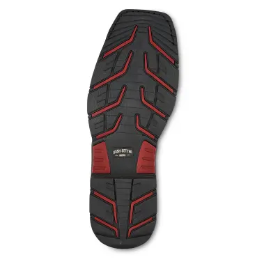 Image 6 of Irish Setter Marshall 9