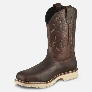 Image 3 of Irish Setter Kittson 11