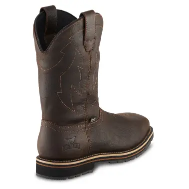 Image 3 of Irish Setter Kittson 11