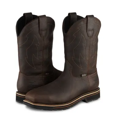 Image 10 of Irish Setter Kittson 11