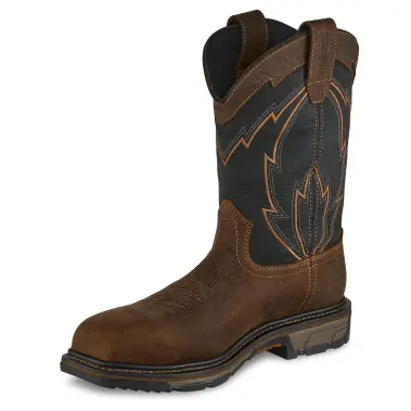 Image 4 of Irish Setter 11