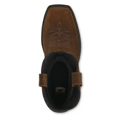 Image 5 of Irish Setter 11