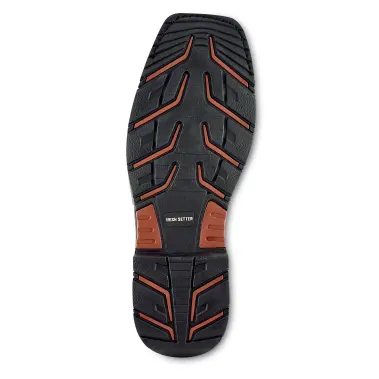 Image 6 of Irish Setter 11