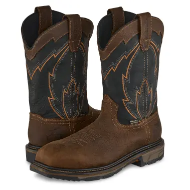 Image 10 of Irish Setter 11