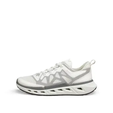 Image 4 of Ecco Biom 720 Breathru Men's