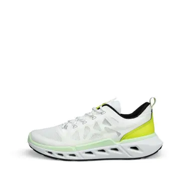 Image 4 of Ecco Biom 720 Breathru Men's