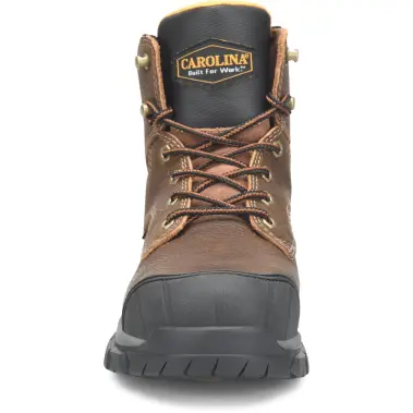 Image 2 of Carolina Falcon 6