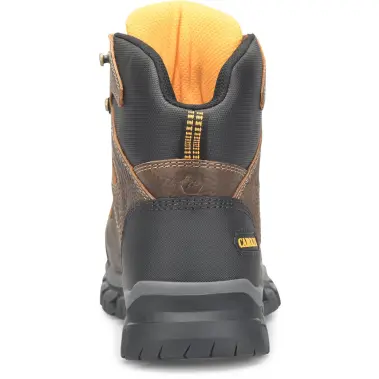 Image 4 of Carolina Falcon 6