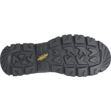 Image 5 of Carolina Falcon 6