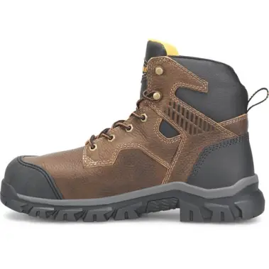 Image 6 of Carolina Falcon 6