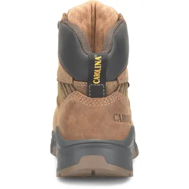 Image 4 of Carolina Sage 6