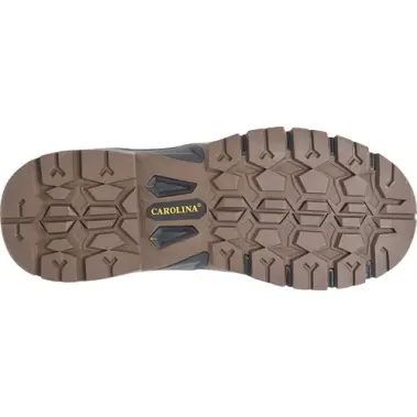 Image 6 of Carolina Sage 6