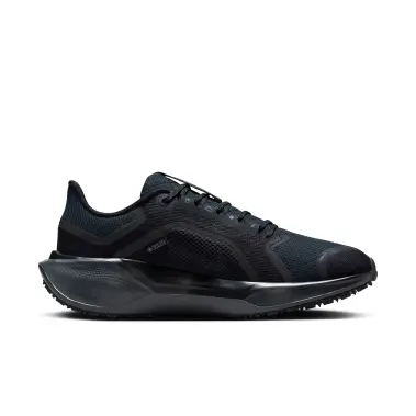 Image 2 of Nike Pegasus 41 Gore-Tex Women's