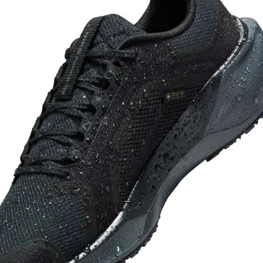Image 5 of Nike Pegasus 41 Gore-Tex Women's