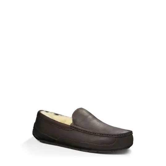 Cover image of DARK SPICE UGG Ascot Men's