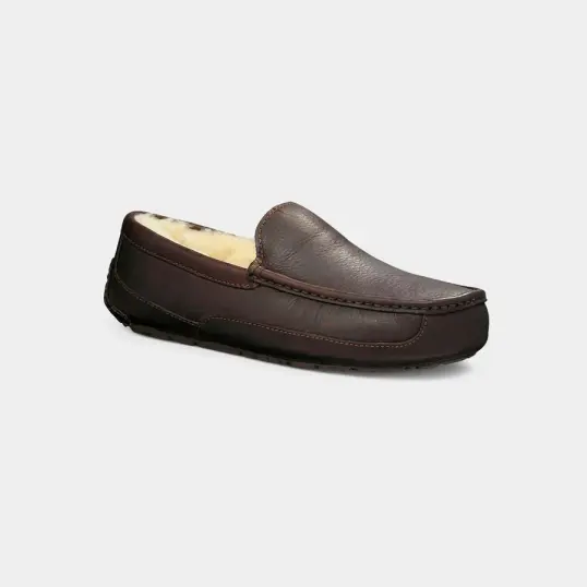 Cover image of CHINA TEA UGG Ascot Men's