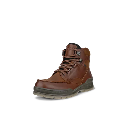 Cover image of Brown Ecco Track 25 Mid GTX Men's