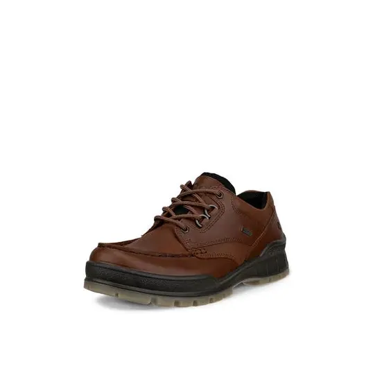 Cover image of BISON Ecco Track 25 Low GTX Men's