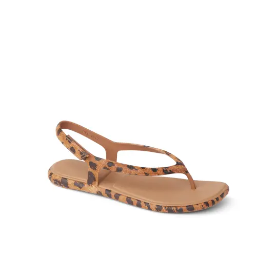 Cover image of LEOPARD Reef Water Willow Maya Women's