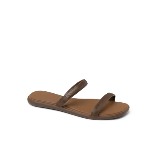 Cover image of Chocolate Reef Water Willow Marina Women's