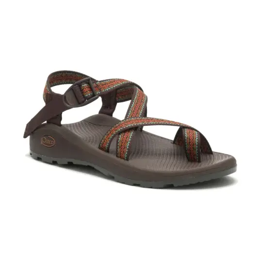 Cover image of ESSENCE JAVA Chaco ZCloud 2 Men's