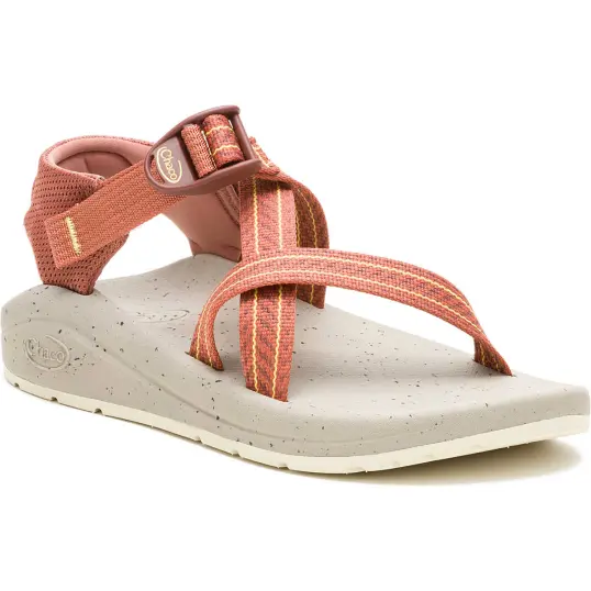 Cover image of FROND SYRUP Chaco Cushz Women's